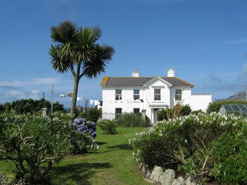 Day 4 boswedden house cabbage tree